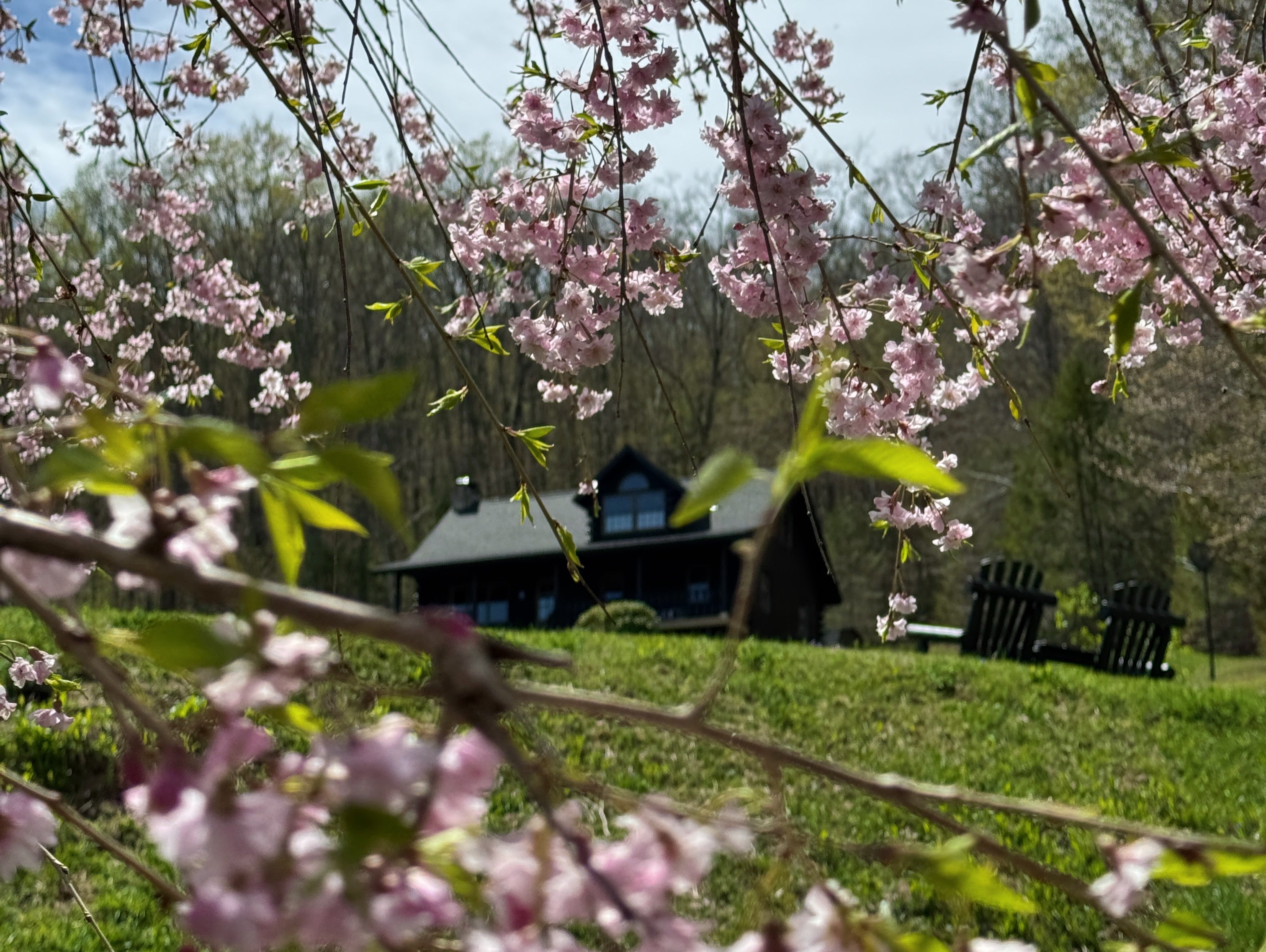 UPPER HOUSE: Upstate New York Scented Candles - hand-poured in the Catskills, refine eco-friendly candles available in very exclusive quantities.